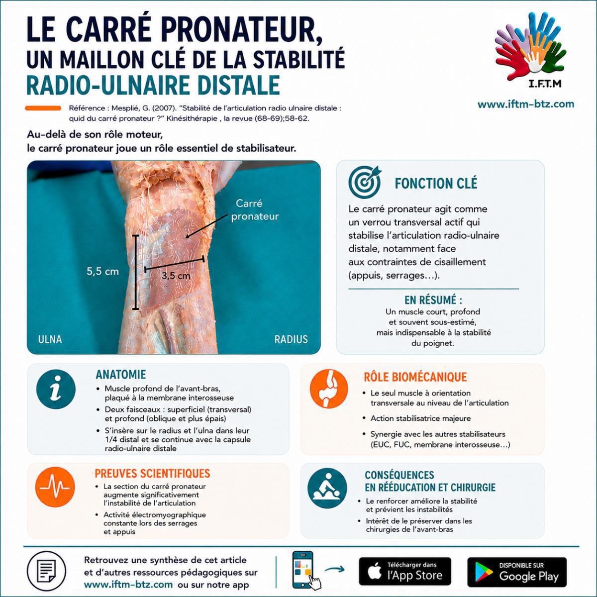 Stabilité de l’articulation radio-ulnaire distale : rôle du carré pronateur