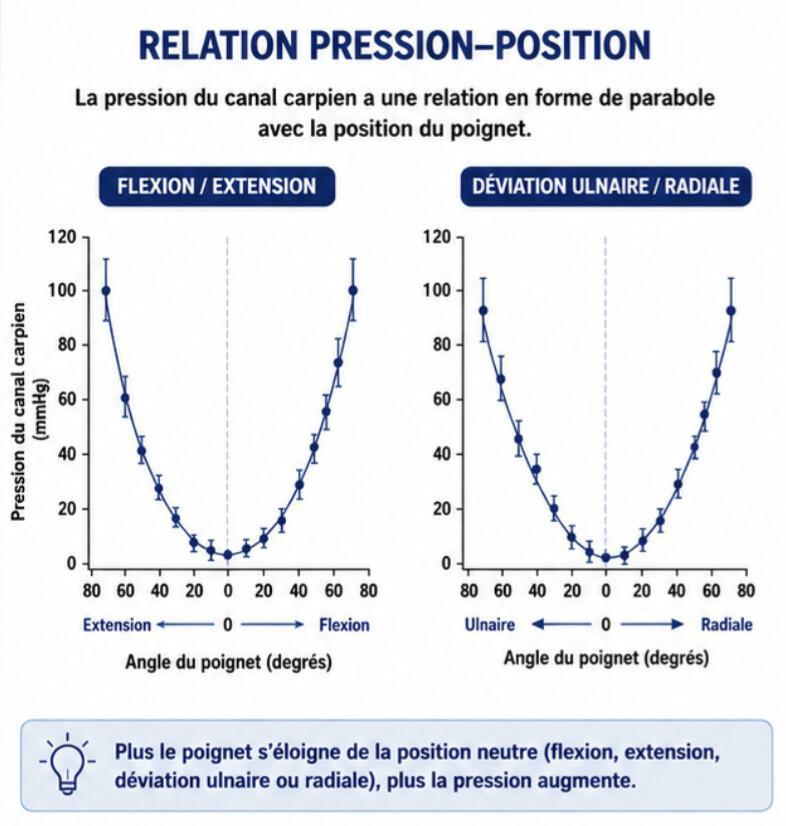 Position du poignet associée à la pression la plus faible dans le canal carpien : implications pour la conception des attelles