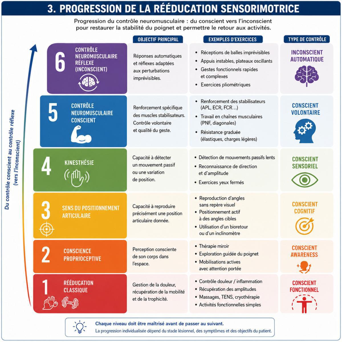Rééducation des instabilités scapho-lunaires