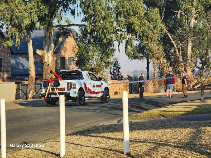 Fallen tree on Camden Avenue Fallen tree on Camden Avenue