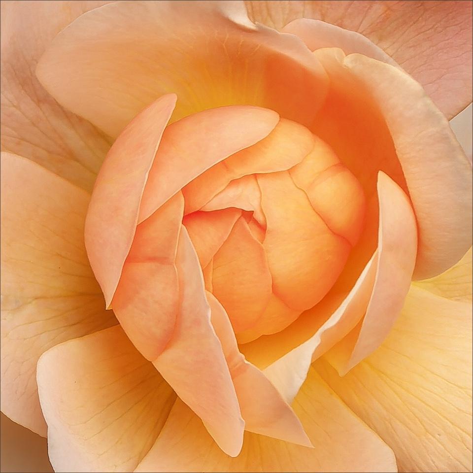 Ermelo Youth Photographers Excel in the International Youth Open Cup of Russia 