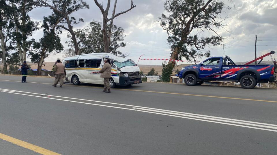Fallen Tree on N17 Kills Two, Injures Several Near Nooitgedacht Centre