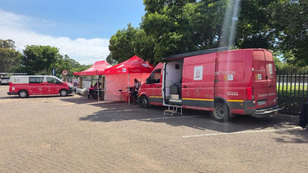 Festive Fun Lighting Up South Centre 