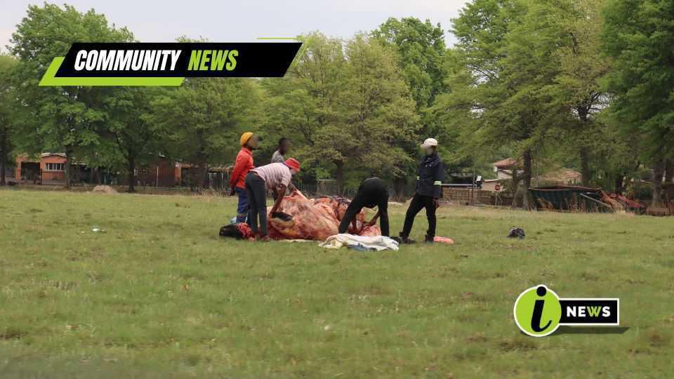 Public Animal Slaughter Raises Concern in Ermelo Public Animal Slaughter Raises Concern in Ermelo