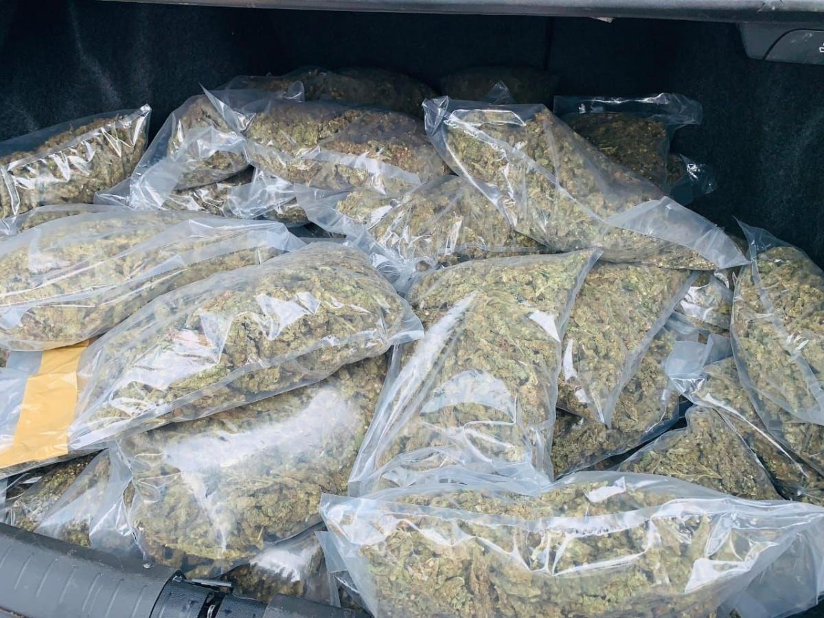 Foreign National Arrested With R90 000 Worth of Dagga Near Ermelo