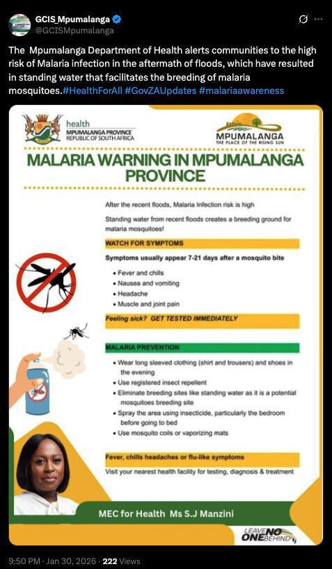 How to Protect Yourself and Your Family Against Malaria 