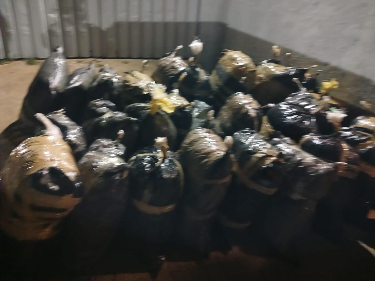 Four Granted Bail After Large Dagga Bust Near Ermelo