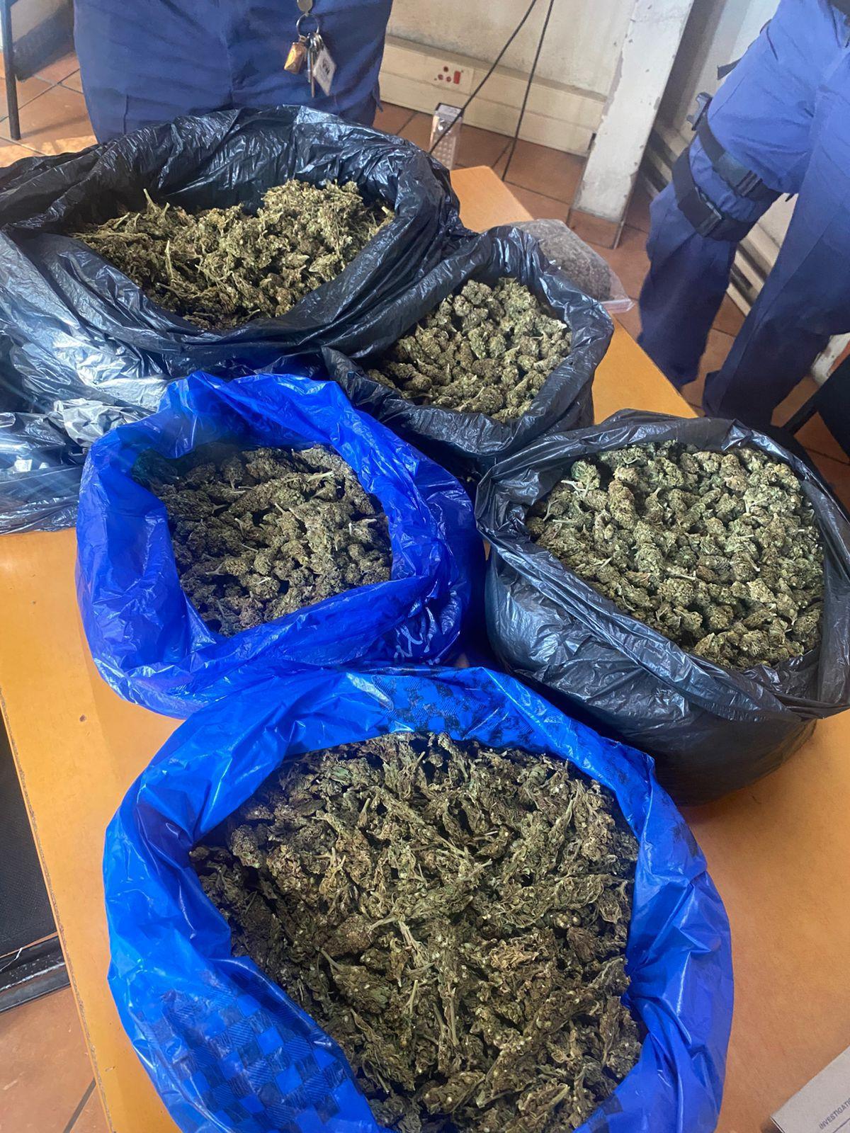 Police recover multiple dagga consignments on R39 near Ermelo