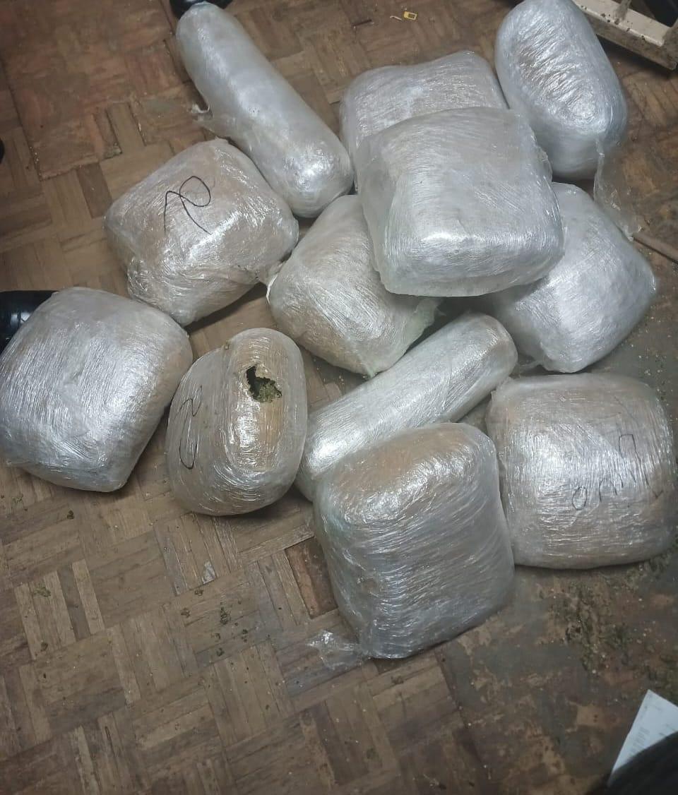 Four suspects appear in Piet Retief Magistrate's Court after dagga busts Four suspects appear in Piet Retief Magistrate's Court after dagga busts