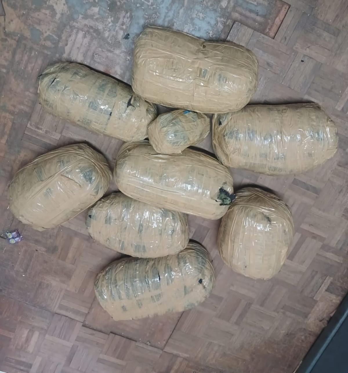 Four suspects appear in Piet Retief Magistrate's Court after dagga busts