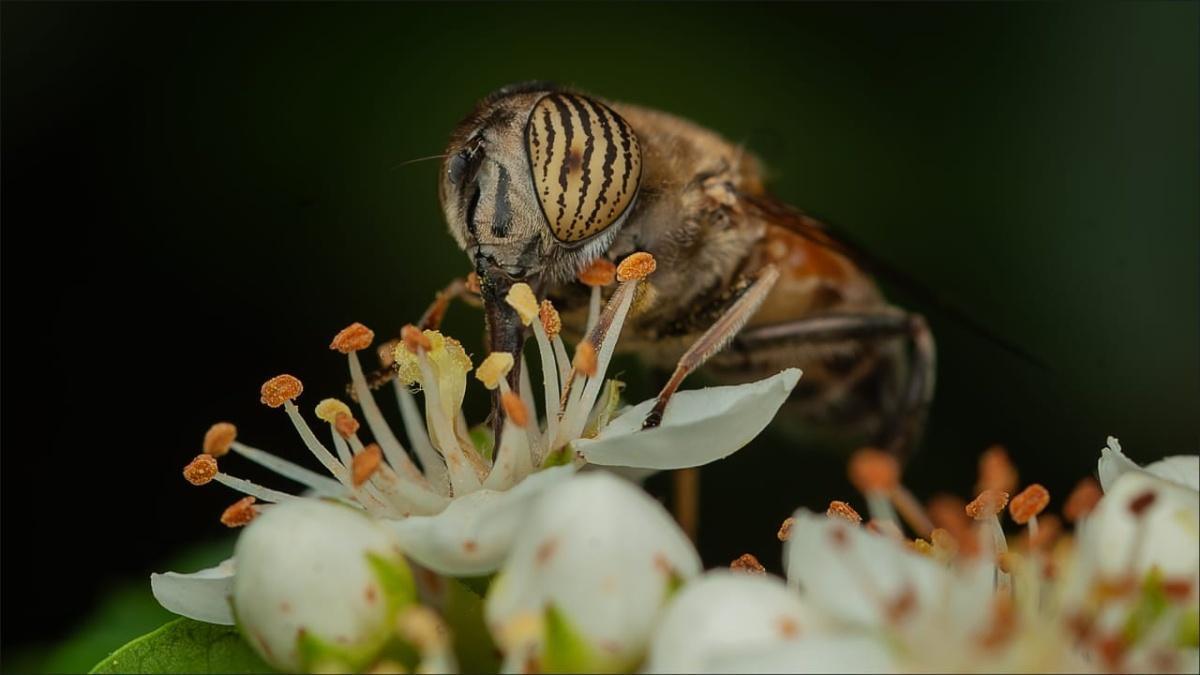 LIGGIE FOTOGRAWE ONDER BESTES IN SUID-AFRIKA