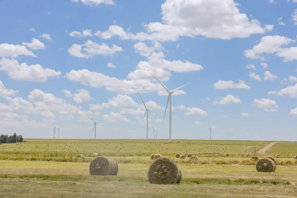 Three years and billions later, this is what Seriti Green has to show