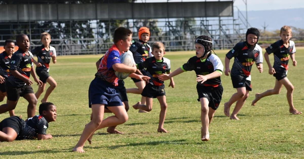Arende Hoëveld Rugby Club delivers strong results in Nelspruit
