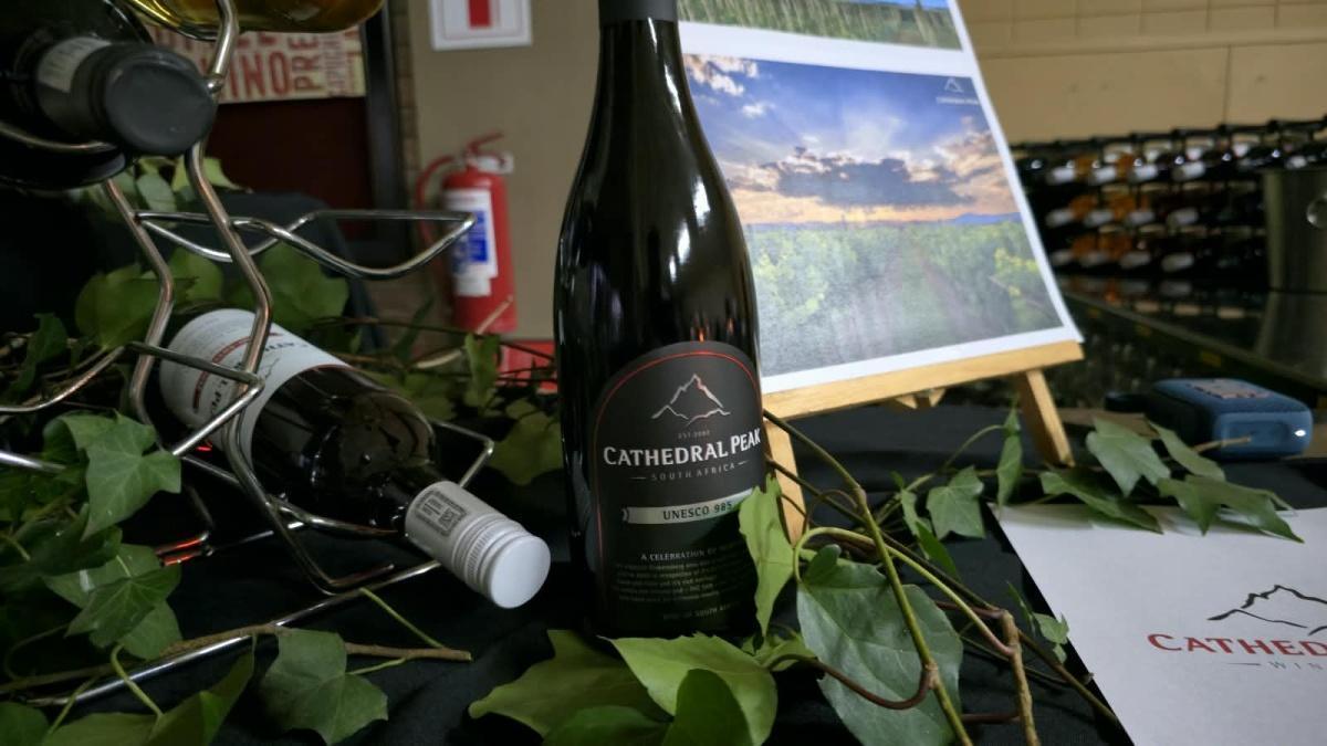 CMR Ermelo’s Sip & Paint brings women together through creativity and connection