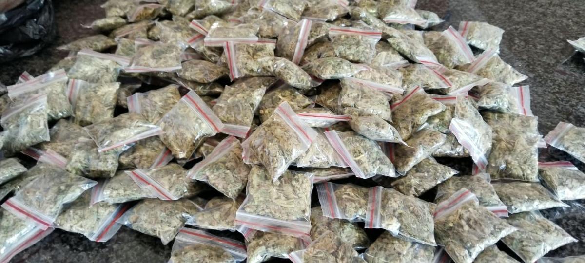 More than 1,100 arrested during Mpumalanga police operation More than 1,100 arrested during Mpumalanga police operation