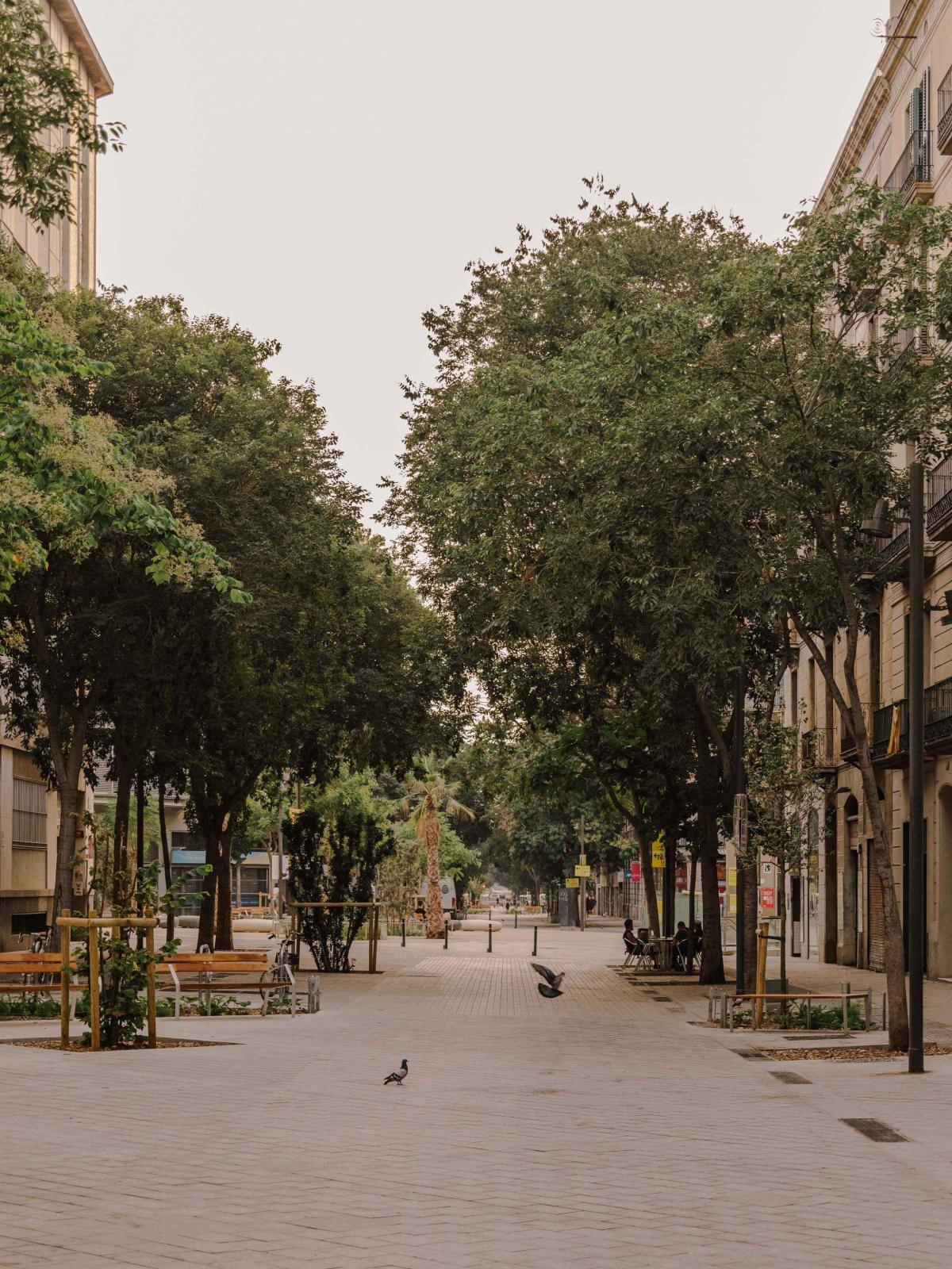 Eje Verde - Consell de Cent