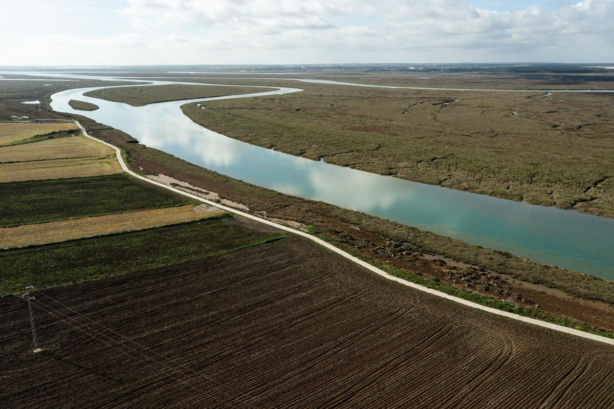 Envolviendo la marisma: Itinerario paisajístico en torno al estuario Norte del Odiel