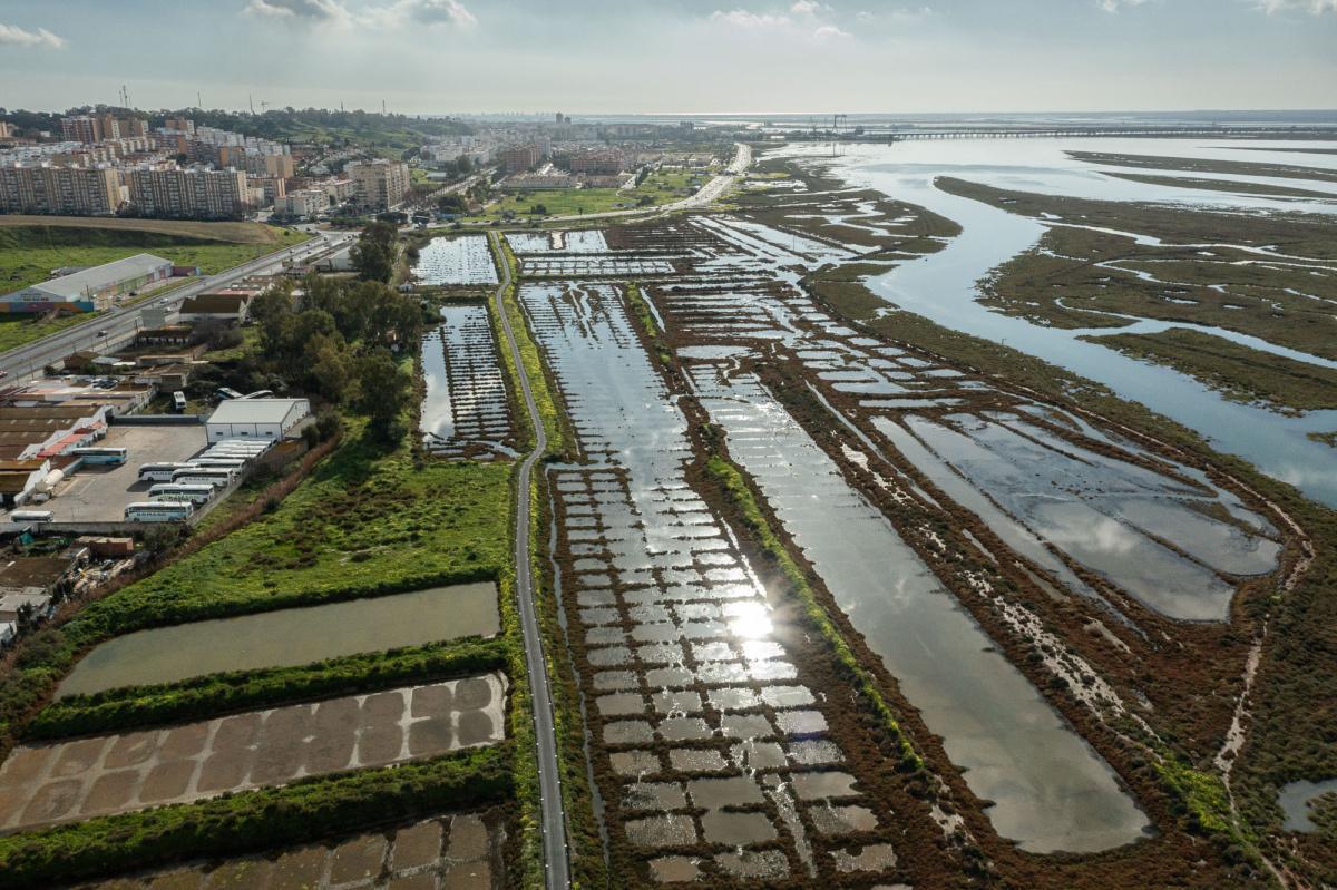 Envolviendo la marisma: Itinerario paisajístico en torno al estuario Norte del Odiel