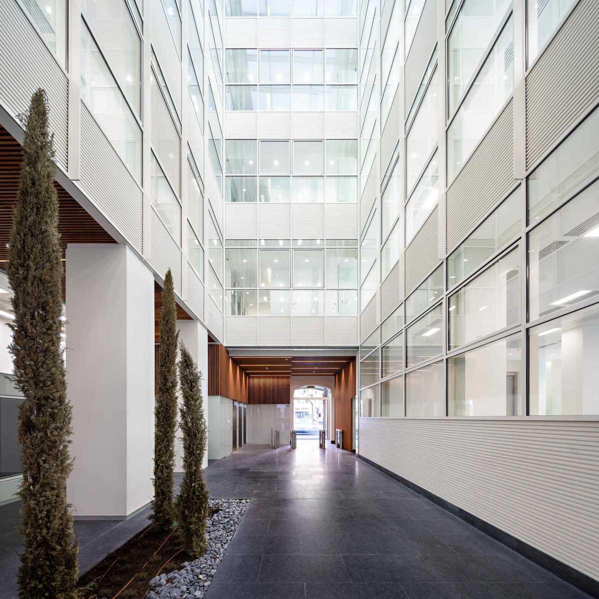 Castellana 19 Castellana 19