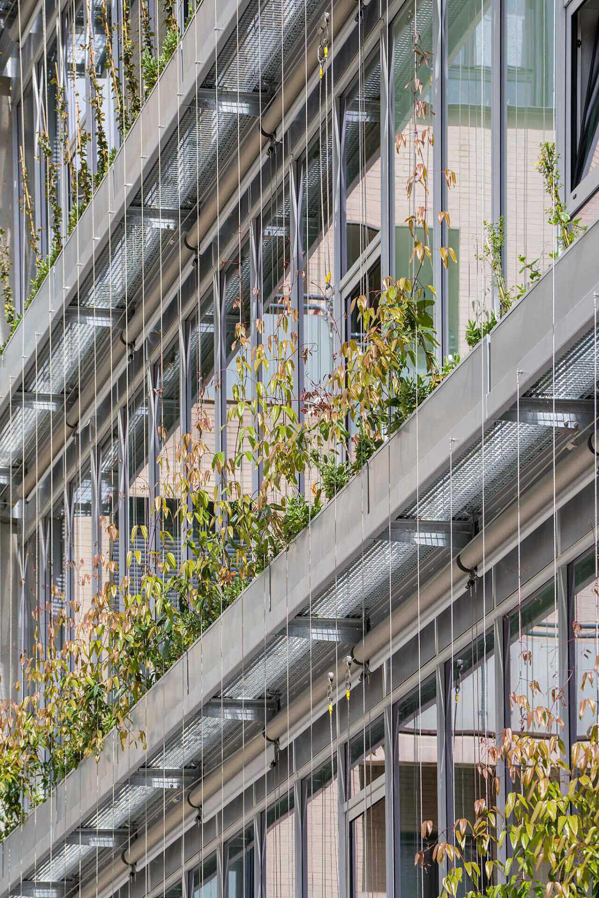 Centro Deportivo Municipal de Cuatro Caminos