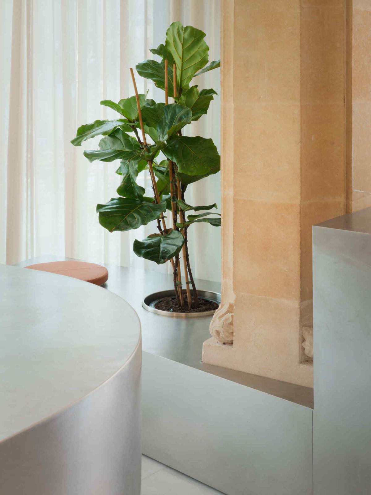 Cafetería CaixaForum Palma