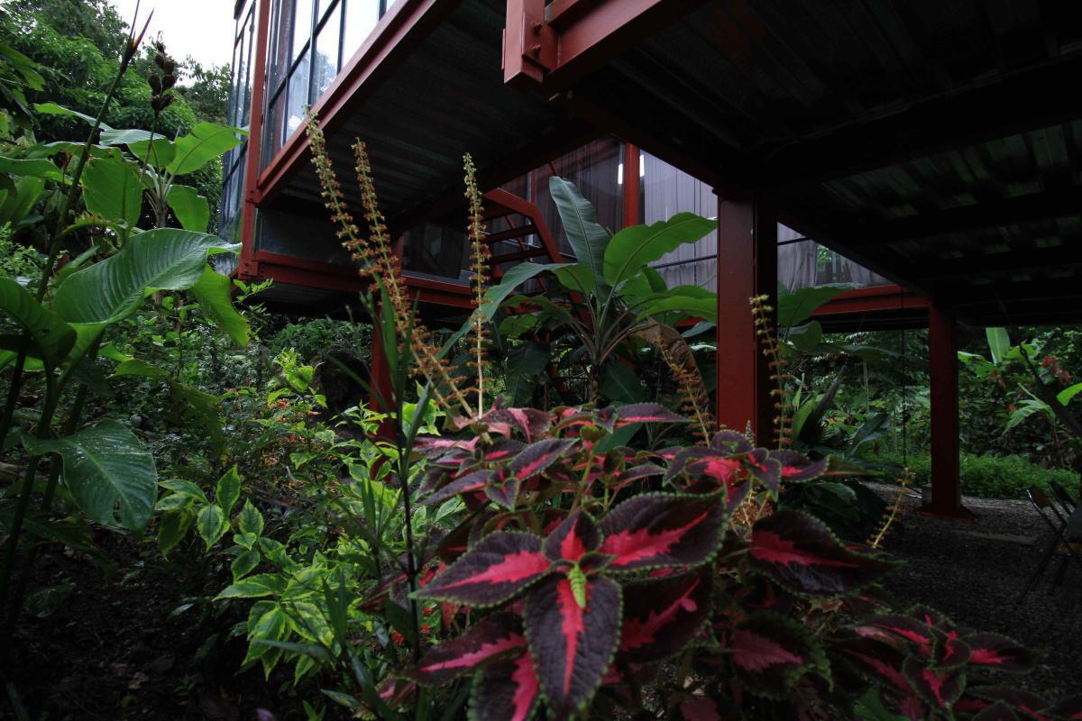 Casa Colorada en La Mesa, Colombia Casa Colorada en La Mesa, Colombia