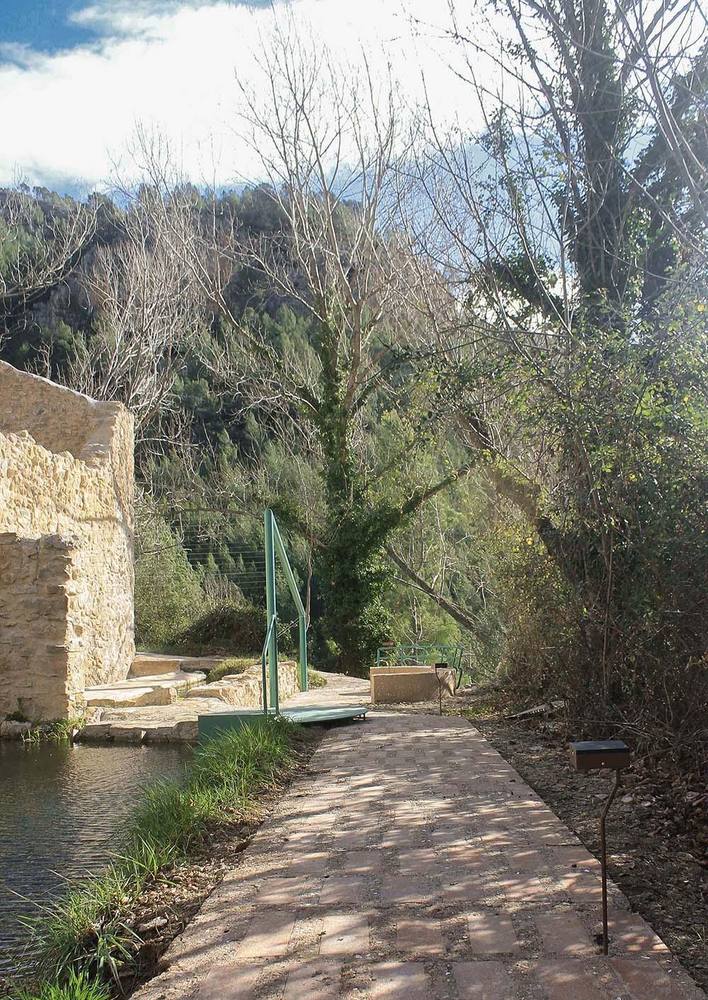 El camino de la almazara