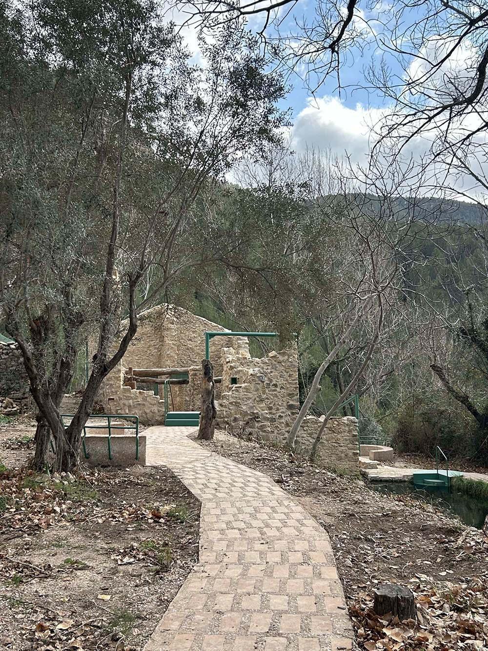 El camino de la almazara El camino de la almazara