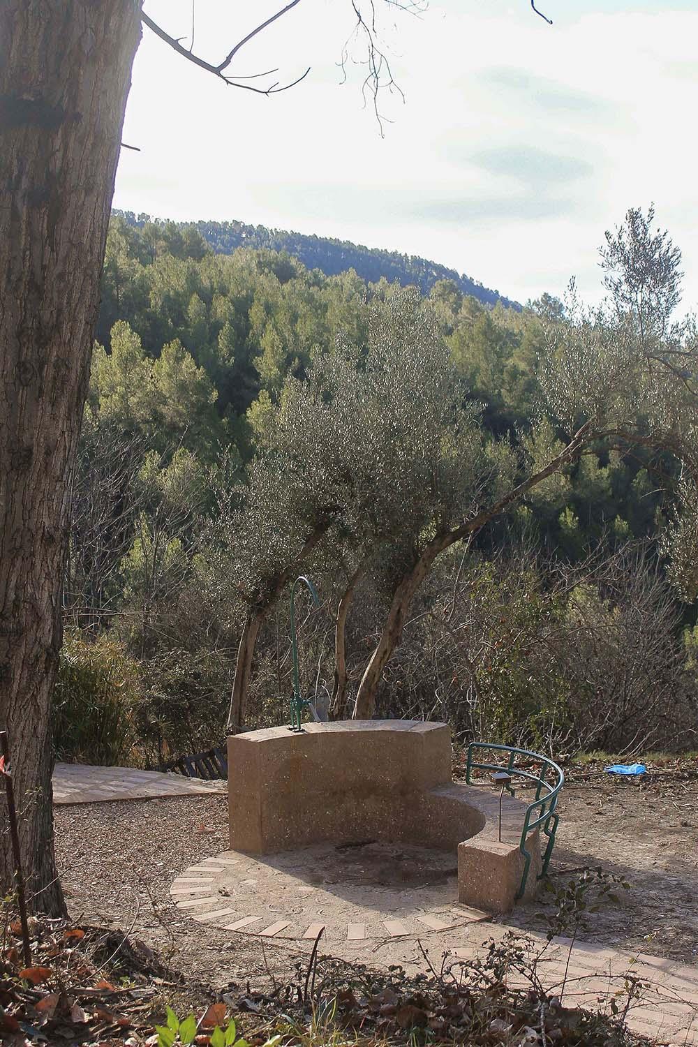 El camino de la almazara