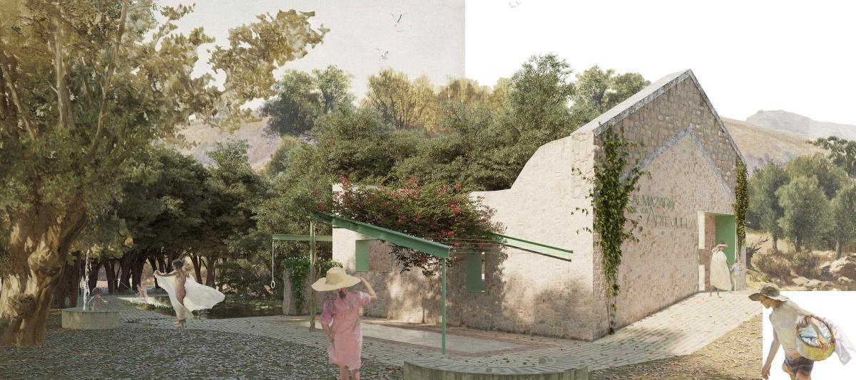 El camino de la almazara