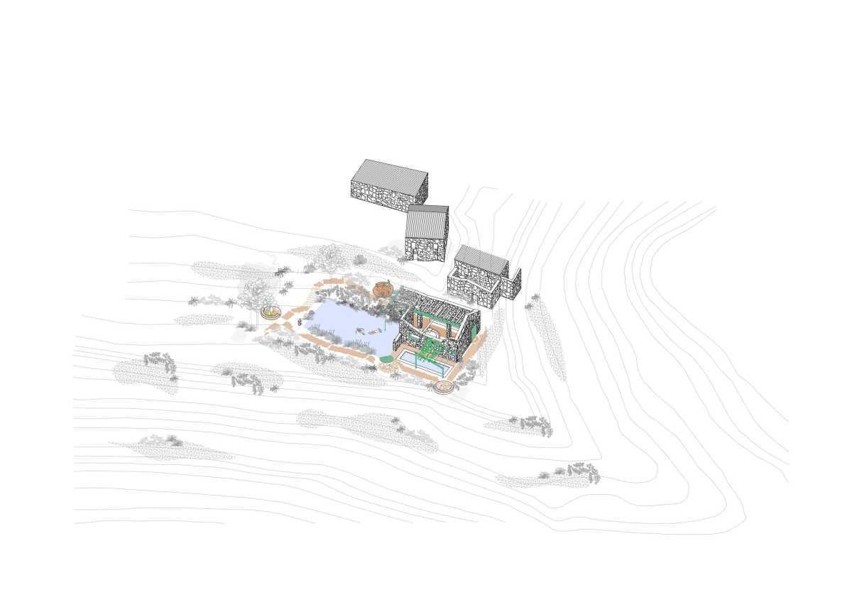 El camino de la almazara