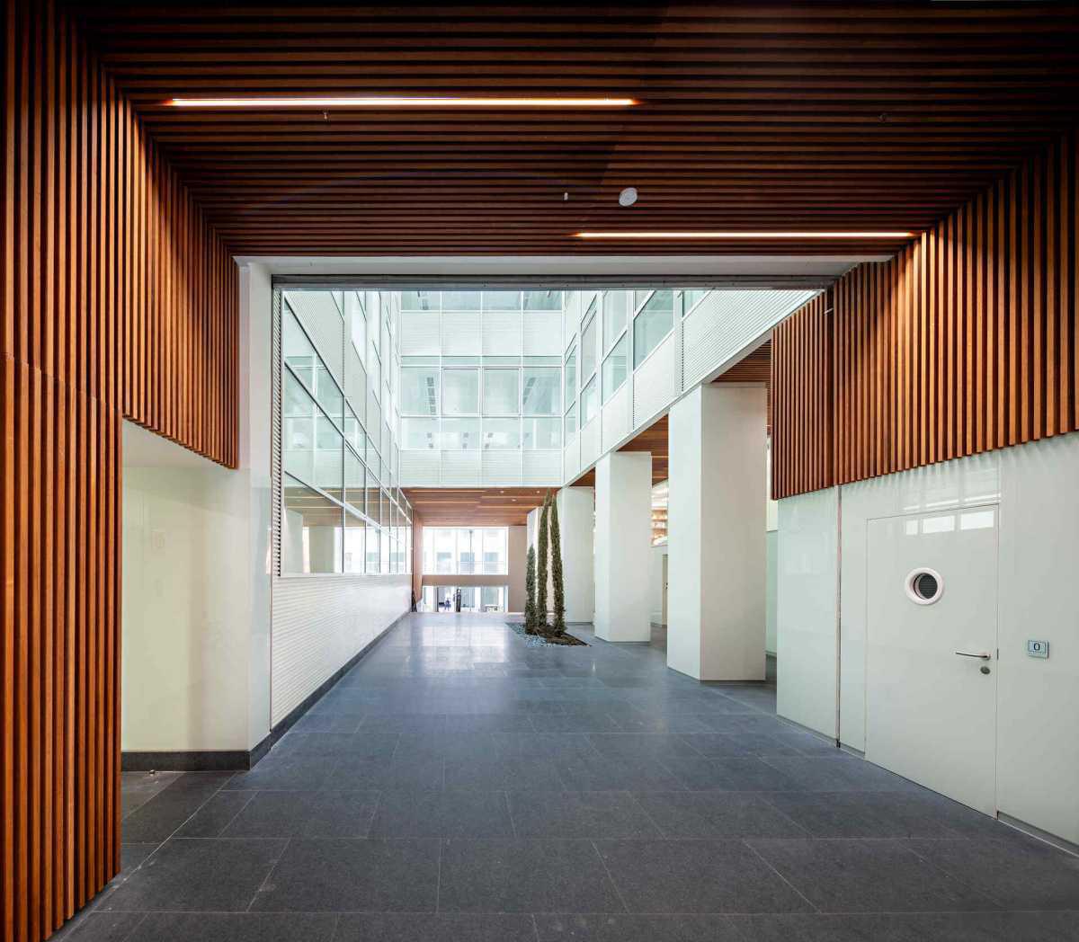 Castellana 19 Castellana 19