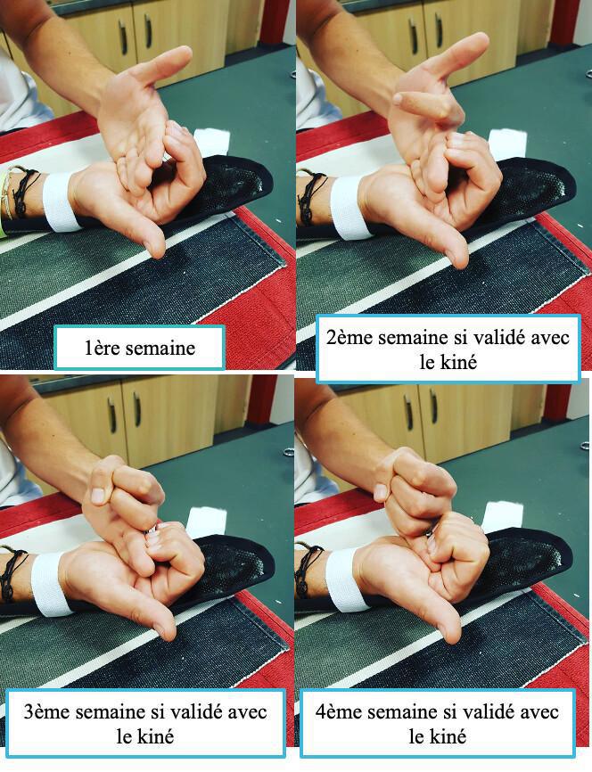 FICHE CONSEILS FLÉCHISSEURS FICHE CONSEILS FLÉCHISSEURS