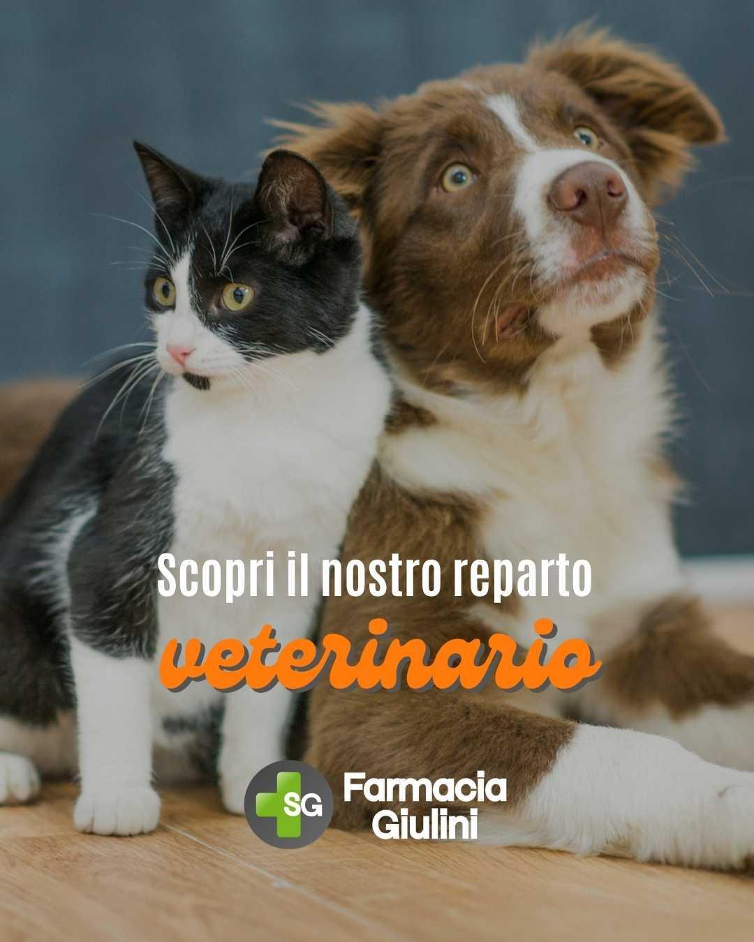 Reparto veterinario