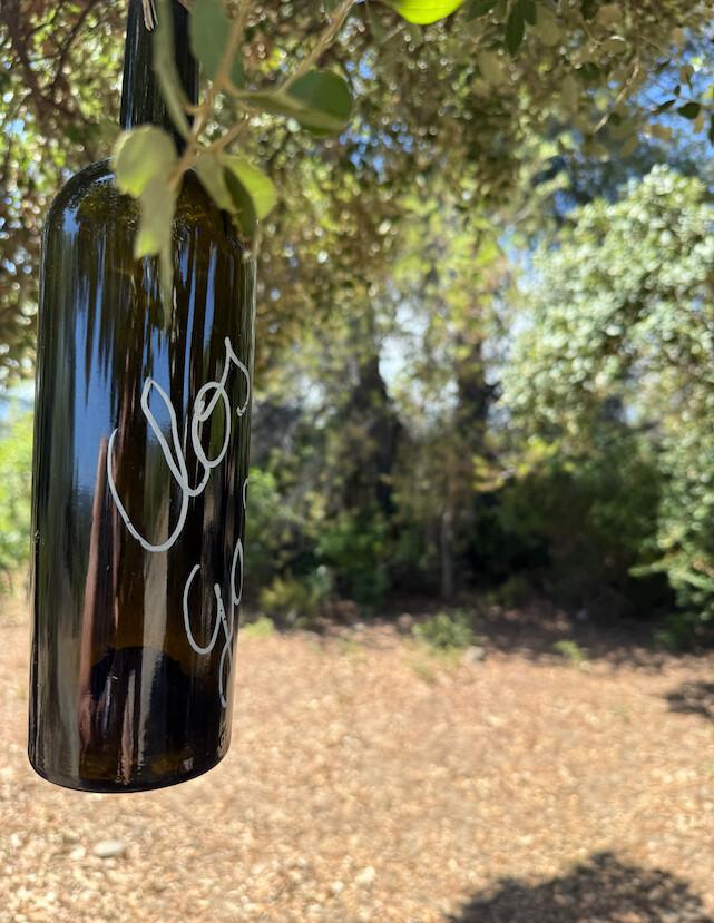 ๐ Clos Galena. A Nobel Prize-winning winery ๐ Clos Galena. A Nobel Prize-winning winery