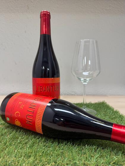 🍇 El Celler Cooperatiu de El Molar. A true zero-kilometre product