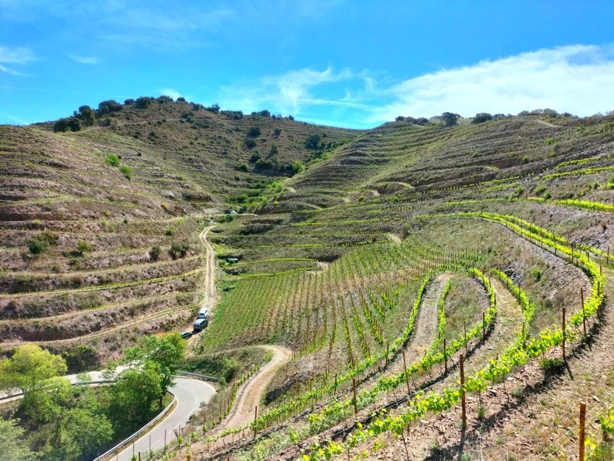 π Alicia i Josep Viticultors β wines with character from DOQ Priorat π Alicia i Josep Viticultors β wines with character from DOQ Priorat