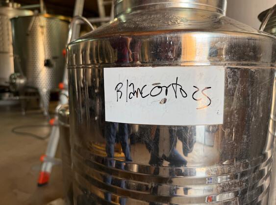 🍇 Orto Vins. Experience the magic of Priorat in every glass 🍇 Orto Vins. Experience the magic of Priorat in every glass