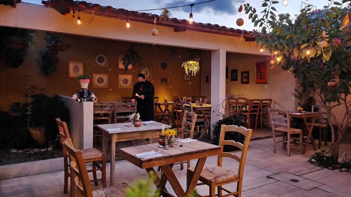 🌾 Recaudo 🌾 Recaudo