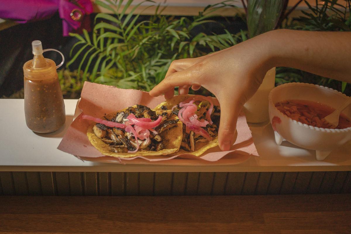 🔥🌴 CASA PENINSULAR – Cocina Afroyucateca en Puebla 🔥🌴 CASA PENINSULAR – Cocina Afroyucateca en Puebla