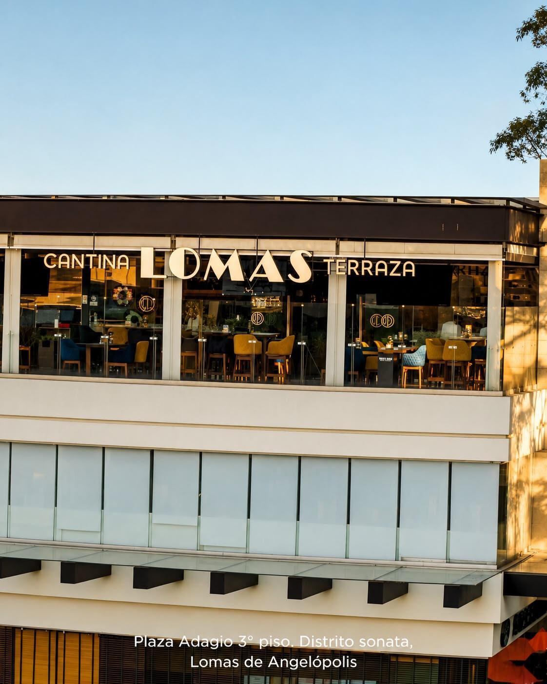 Cantina Lomas Terraza 🌮🍹 