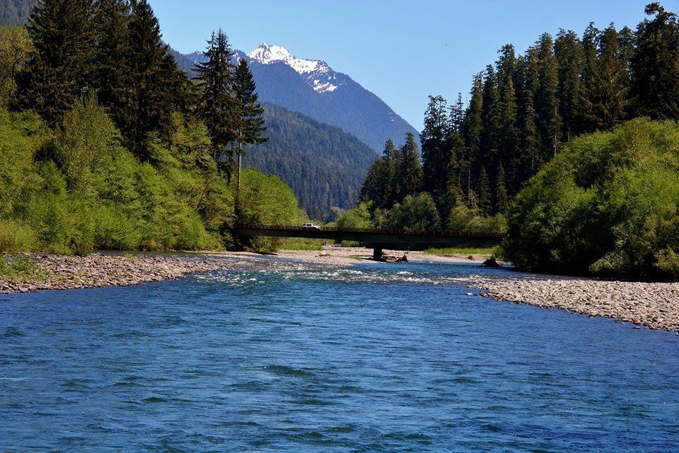 Lake Quinault Rainforest, WA Lake Quinault Rainforest, WA