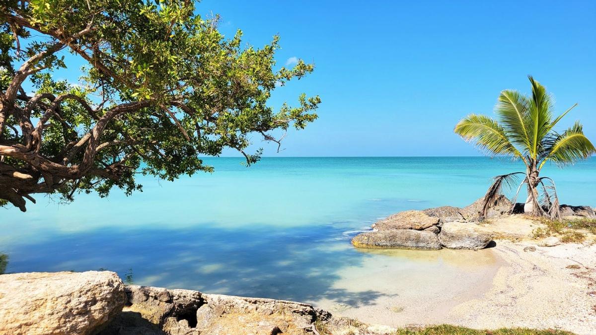 Sarteneja, BZ Sarteneja, BZ