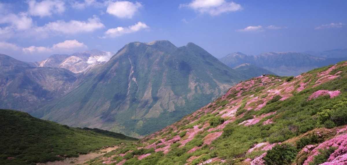 Premium Explorers Only Premium Explorers Only