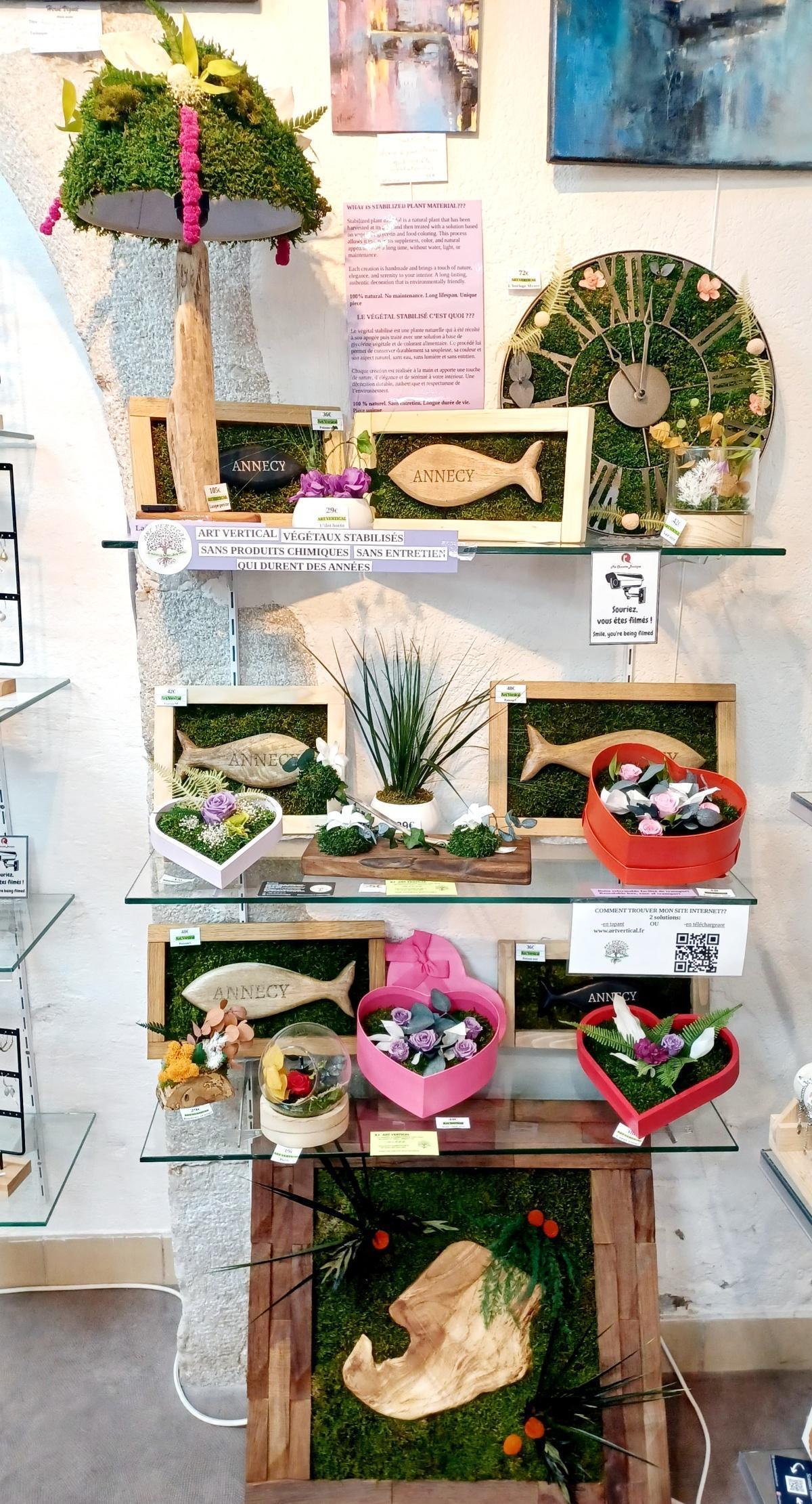 🌿 Découvrir l’Artiste