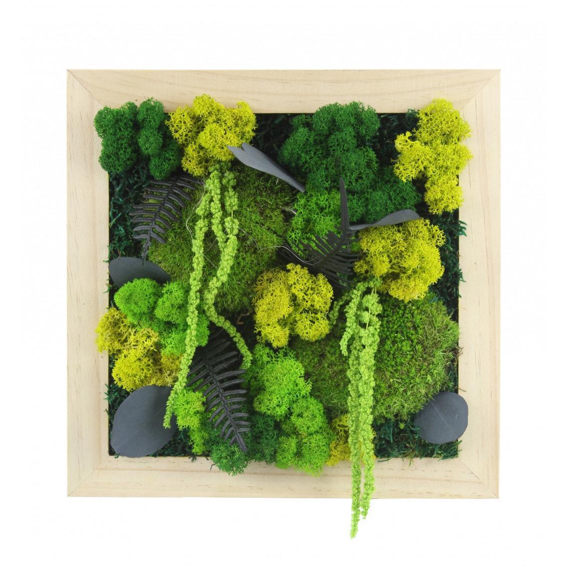 Sophie L., amoureuse du naturel 🌸 Sophie L., amoureuse du naturel 🌸