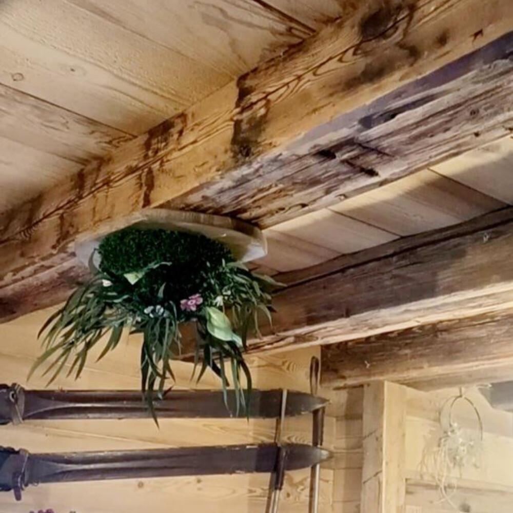 La Forêt Suspendue des Alpages La Forêt Suspendue des Alpages