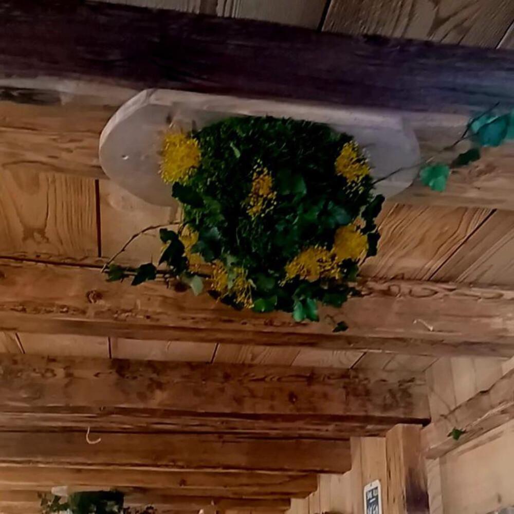 La Forêt Suspendue des Alpages La Forêt Suspendue des Alpages