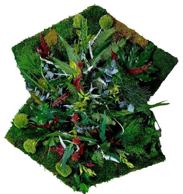 Lignes Vivantes— Œuvre végétale sur mesure Lignes Vivantes— Œuvre végétale sur mesure