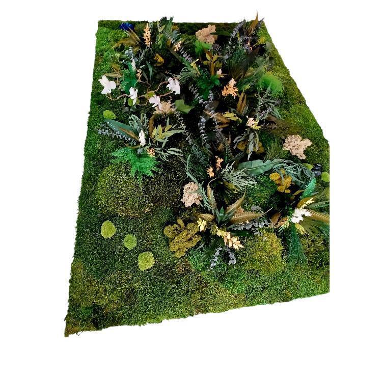 L’Ascension Sauvage